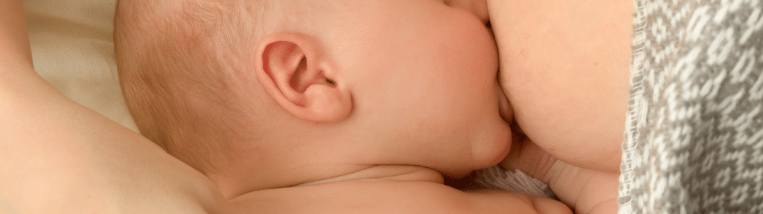 dra bianca site e gmn (2)